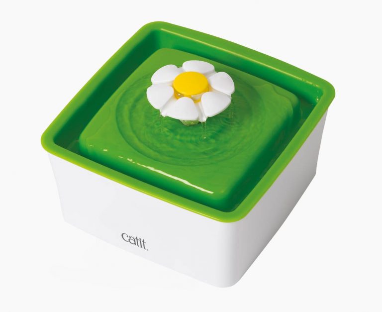 catit kytička