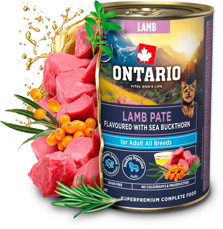 Konzerva Ontario Adult jehněčí pate s příchutí rakytníku 400 g|220x214