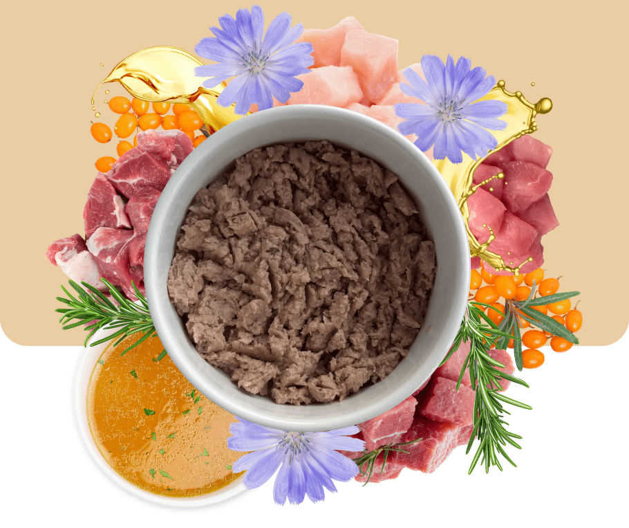 43864688a58357a0a4aedb2c7250553a2e9019edfb1bc14a48f1e57ed9ac6e9e.png|763x910
