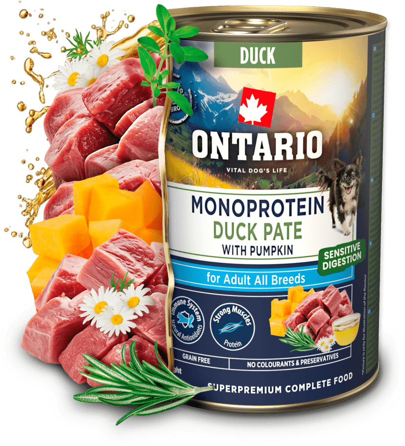 Konzerva Ontario Adult Monoprotein kachní pate s dýní 400 g|220x200