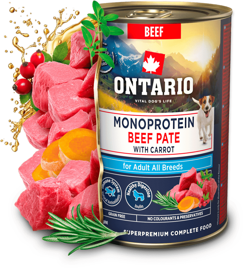 Konzerva Ontario Adult Monoprotein hovězí pate s mrkví 400 g|220x200