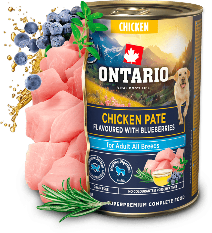 Konzerva Ontario Adult kuřecí pate s příchutí borůvek 400 g|220x200