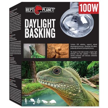 Žárovka Repti Planet Daylight Basking Spot 100W-KS