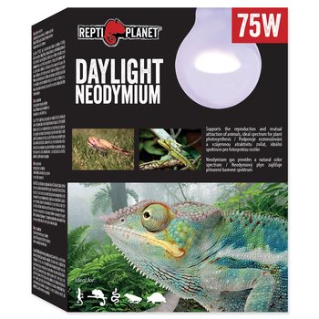 Žárovka Repti Planet Daylight Neodymium 75W-KS
