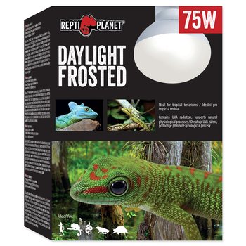 Žárovka Repti Planet Daylight Frosted 75W-KS