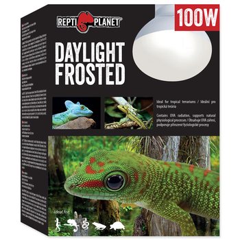 Žárovka Repti Planet Daylight Frosted 100W-KS
