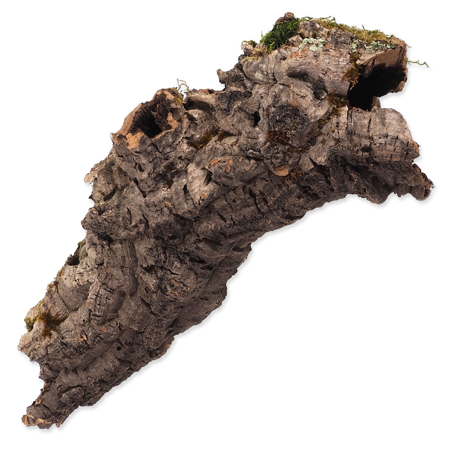 Dekorace Repti Planet Korková kůra M 15-30cm-KS