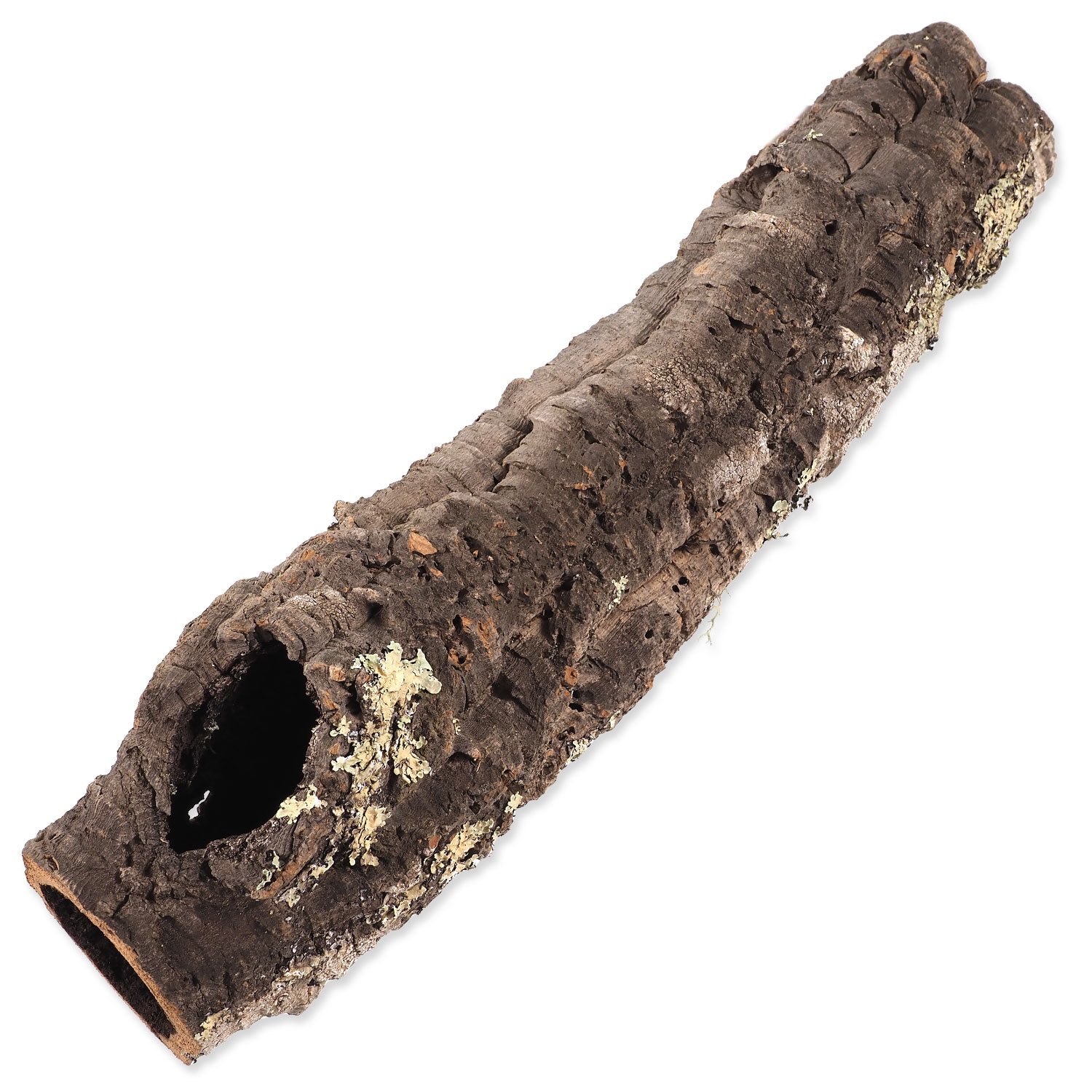 Dekorace Repti Planet Korková kůra L 30-50cm-KS