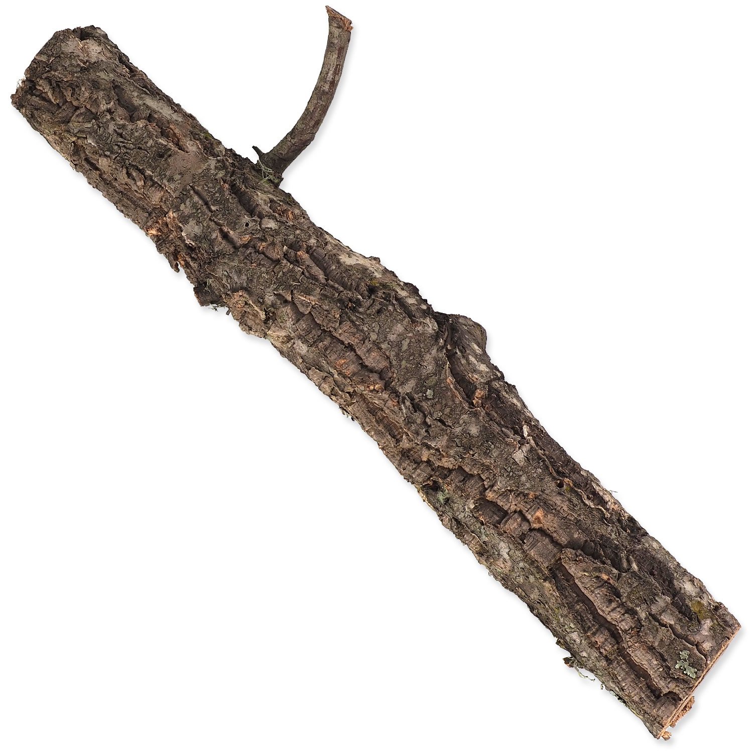 Dekorace Repti Planet Korková větev S 15-30 cm-KS