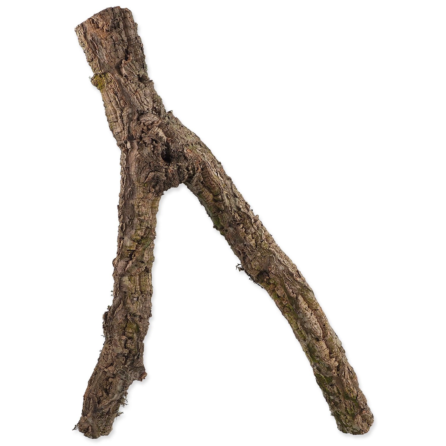 Dekorace Repti Planet Korková větev M 30-60 cm-KS