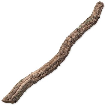 Dekorace Repti Planet Korková větev XL 90cm-120cm-KS