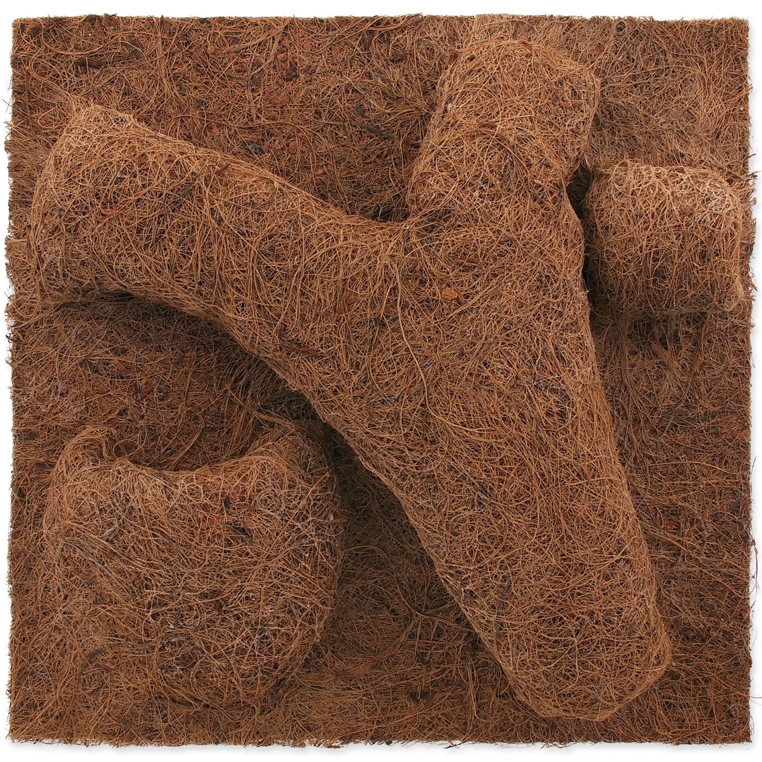 Pozadí Repti Planet Coco Planter 30x30cm-KS