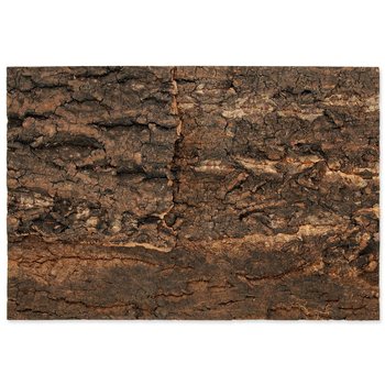 Pozadí Repti Planet korek přírodní 28,5x41x2cm-KS