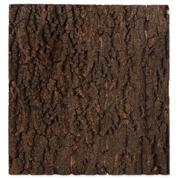 Pozadí Repti Planet korek přírodní 43,5x41x2cm-KS