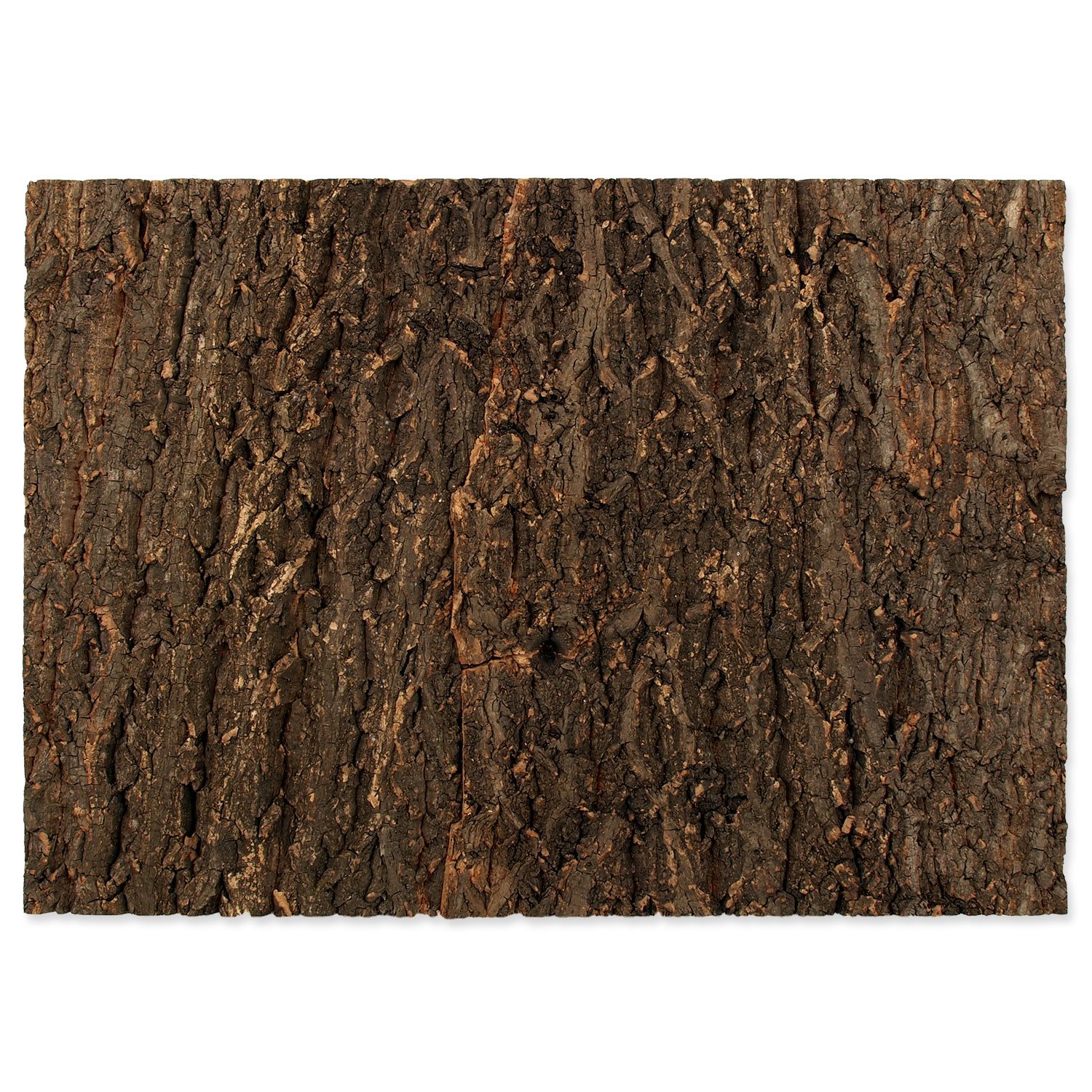 Pozadí Repti Planet korek přírodní 58,5x41x2cm-KS