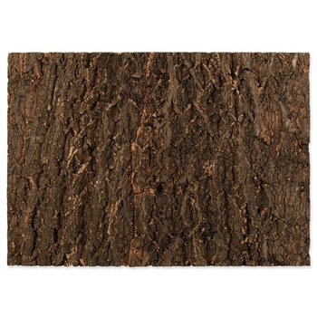Pozadí Repti Planet korek přírodní 58,5x41x2cm-KS
