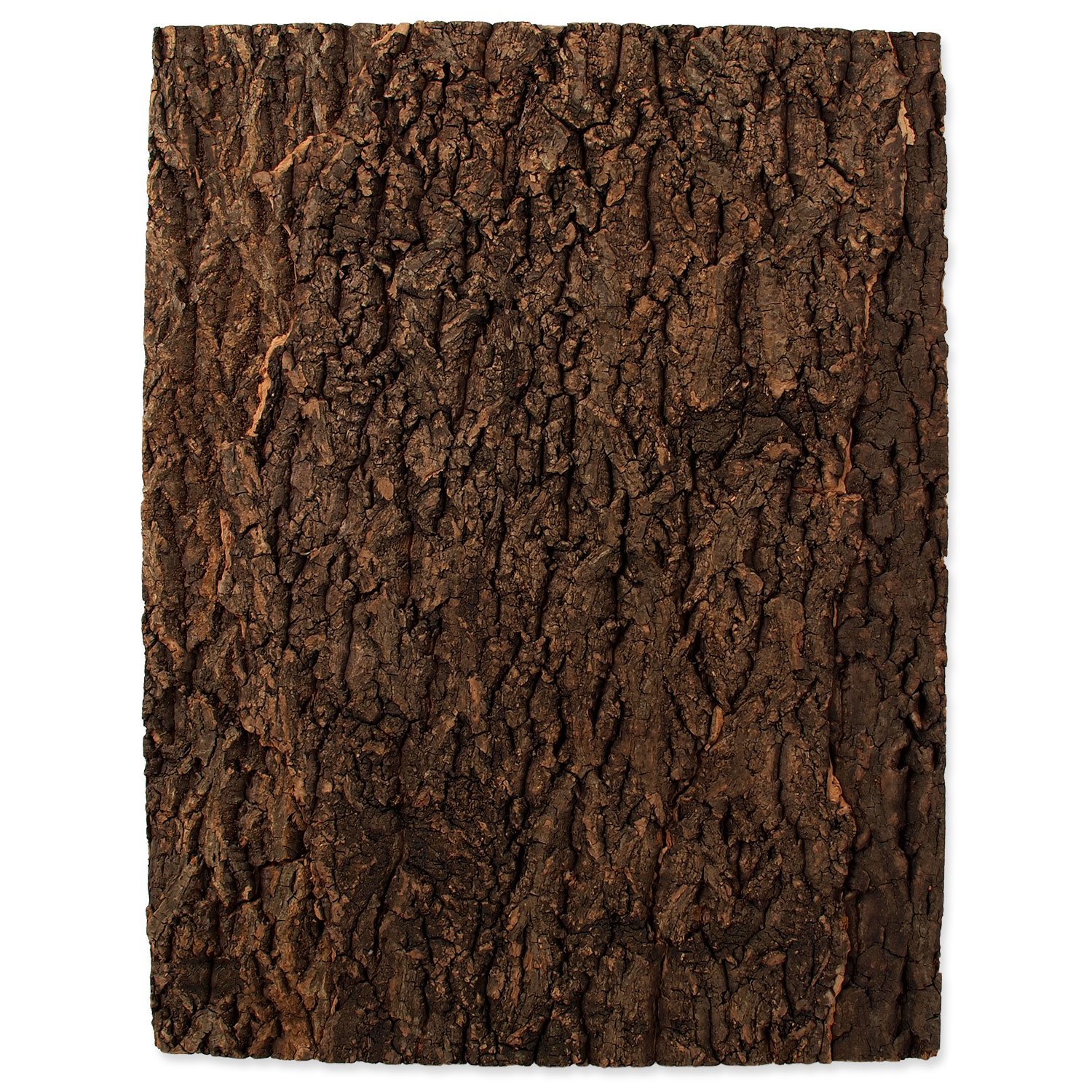 Pozadí Repti Planet korek přírodní 43,5x56x2cm-KS