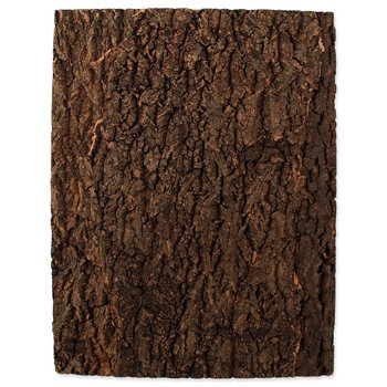 Pozadí Repti Planet korek přírodní 43,5x56x2cm-KS