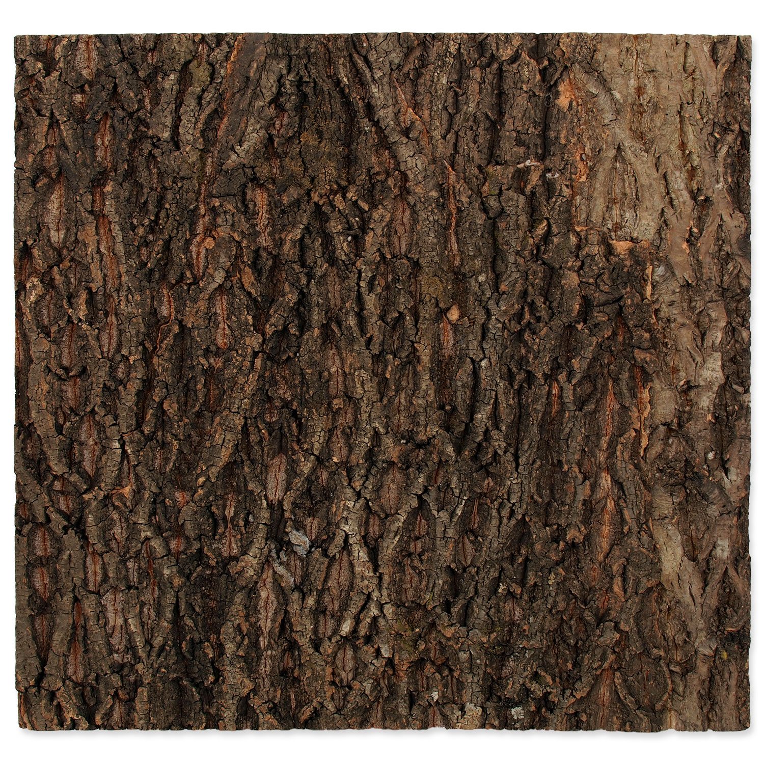 Pozadí Repti Planet korek přírodní 58,5x56x2cm-KS