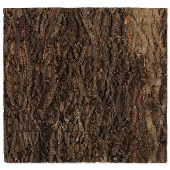 Pozadí Repti Planet korek přírodní 58,5x56x2cm-KS
