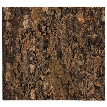 Pozadí Repti Planet korek přírodní 29x27,3x2cm-KS