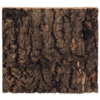 Pozadí Repti Planet korek přírodní 19x17,3x2cm-KS