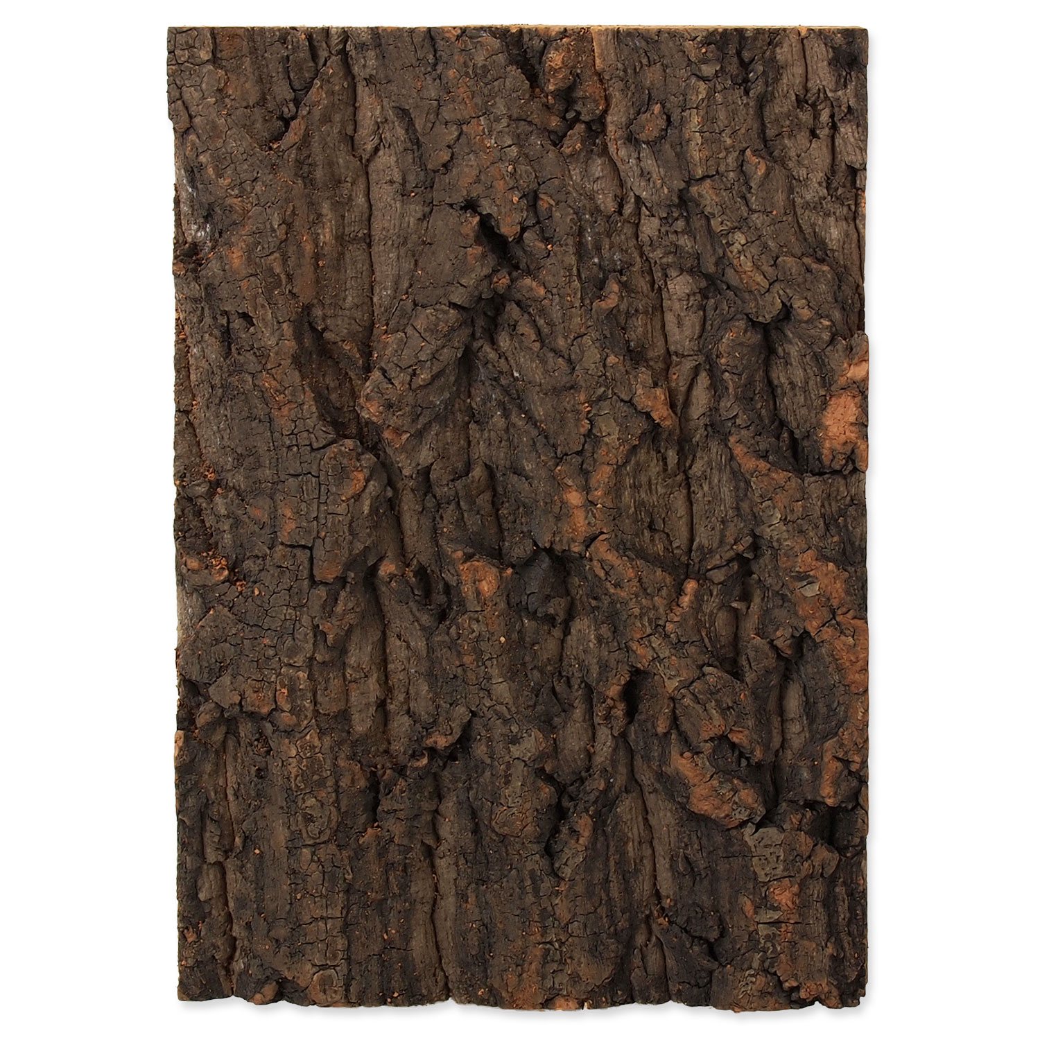 Pozadí Repti Planet korek přírodní 19x27,3x2cm-KS