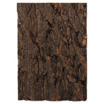 Pozadí Repti Planet korek přírodní 19x27,3x2cm-KS