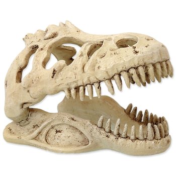 Dekorace Repti Planet T-REX lebka 13,3x8,5x9cm-KS