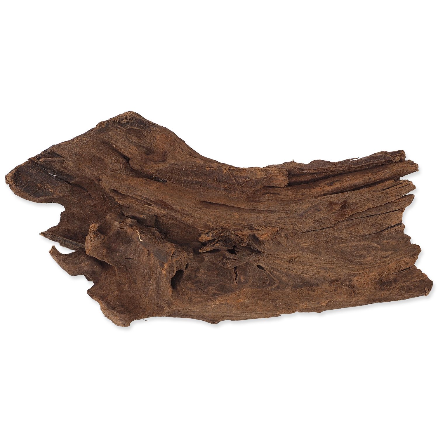 Dekorace Repti Planet Kořen DriftWood Bulk S 24-29cm-KS