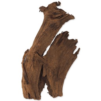 Dekorace Repti Planet Kořen DriftWood Bulk M 29-36cm-KS