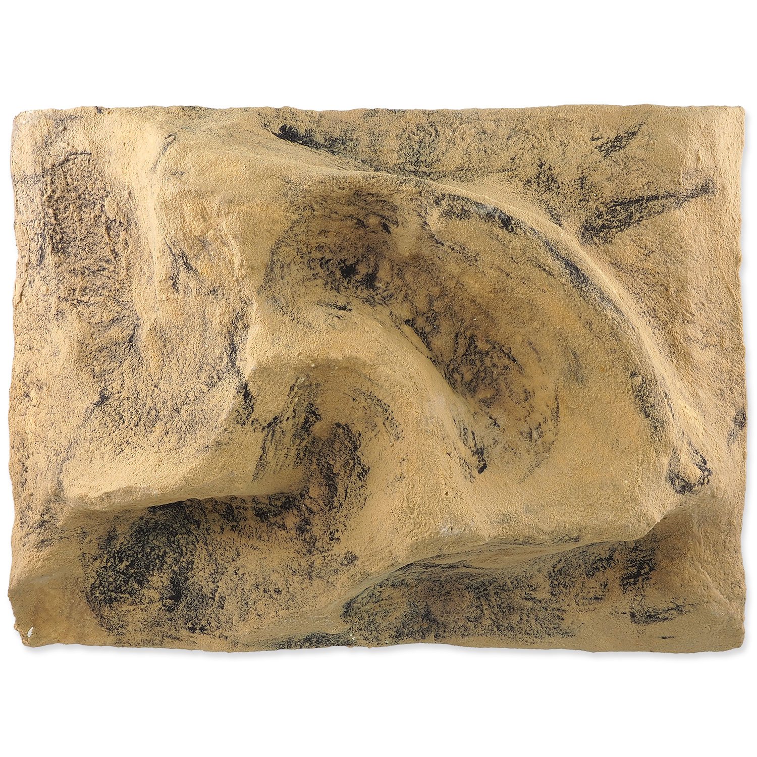 Pozadí Repti Planet do terária 40,5x55,5x12cm-KS