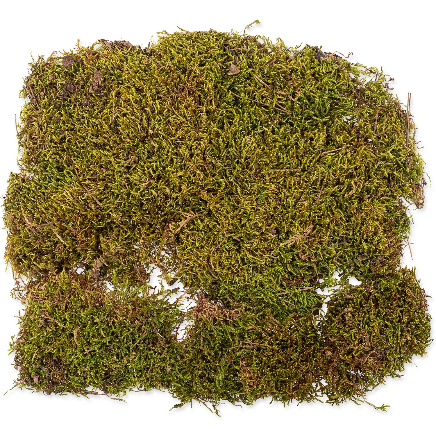 Repti Planet Přírodní terarijní mech, 35x30cm-KS