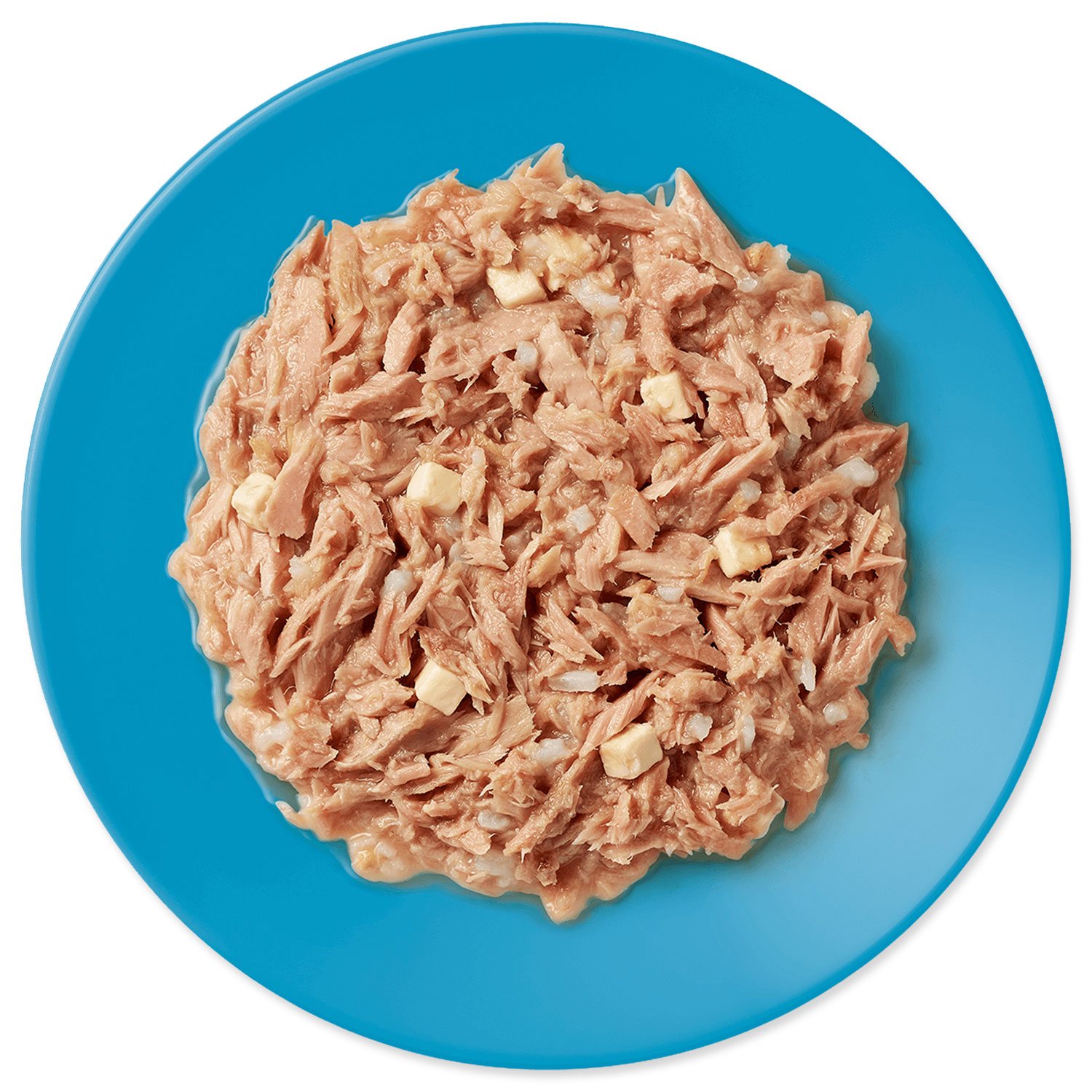 Konzerva Applaws Cat tuňák se sýrem 70g-KARTON