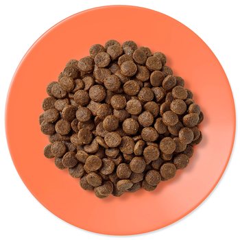 Krmivo Applaws Dry Cat Chicken & Salmon 400g-KS