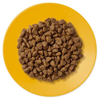 Krmivo Applaws Dry Cat Kitten 2kg-KS