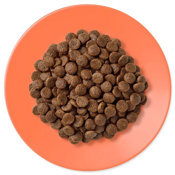 Krmivo Applaws Dry Cat Chicken & Salmon 2kg-KS