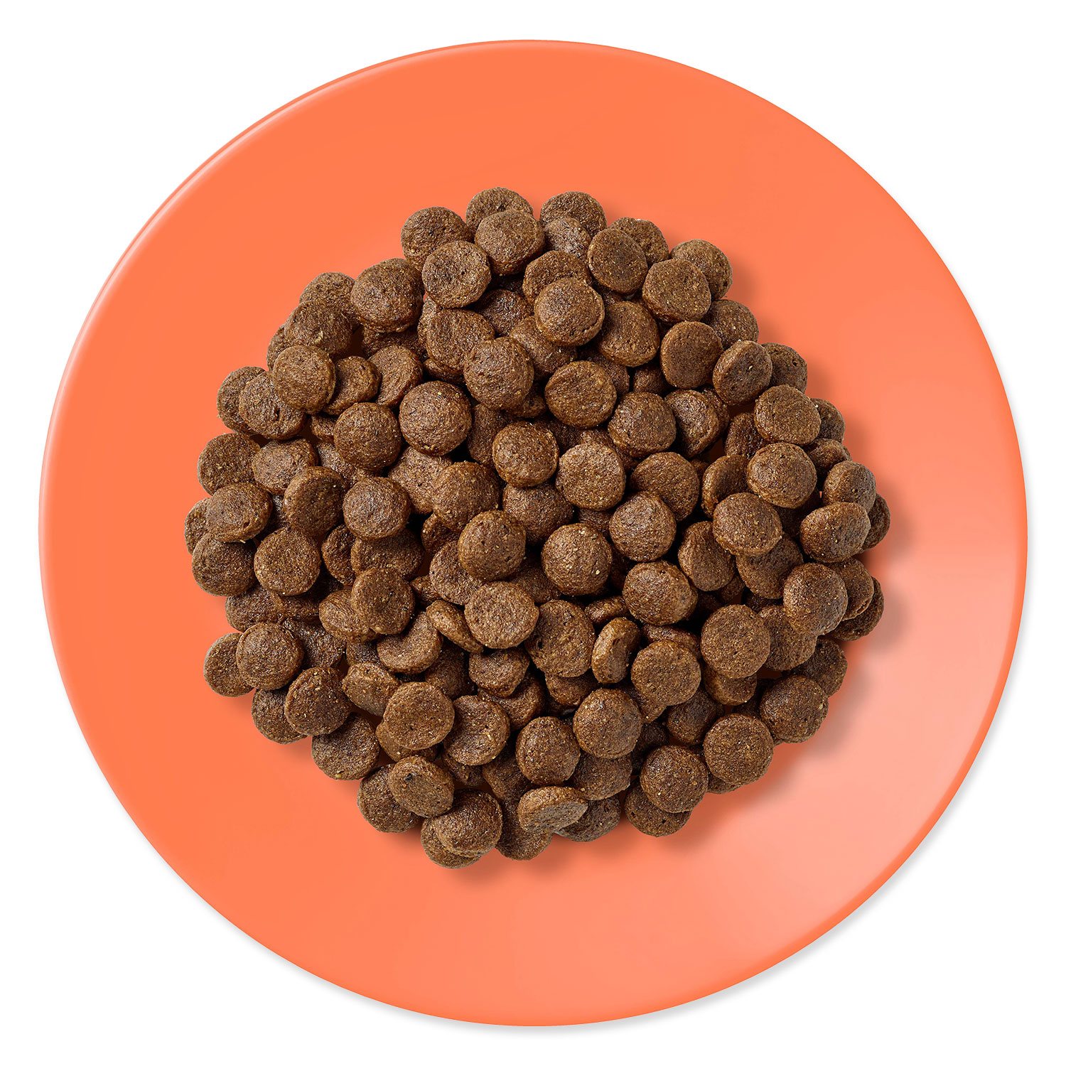 Krmivo Applaws Dry Cat Chicken & Salmon 7,5kg-KS