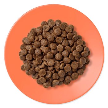 Krmivo Applaws Dry Cat Chicken & Salmon 7,5kg-KS