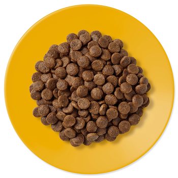 Krmivo Applaws Dry Cat Senior 400g-KS