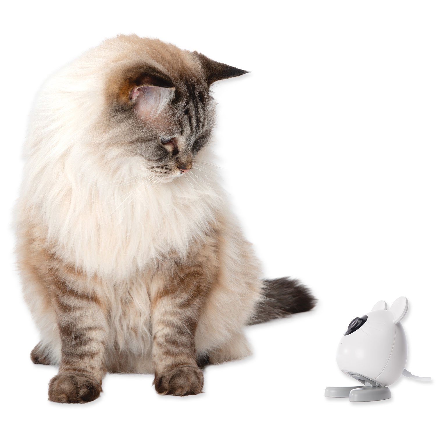 Kamera Catit Pixi Smart myš