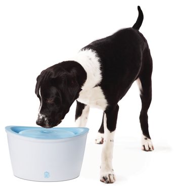 Fontána Dogit ZEUS 6L-KS