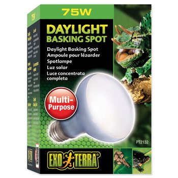 Žárovka Exo Terra Daylight Basking Spot 75W-KS