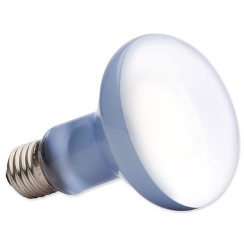 Žárovka Exo Terra Daylight Basking Spot 100W-KS