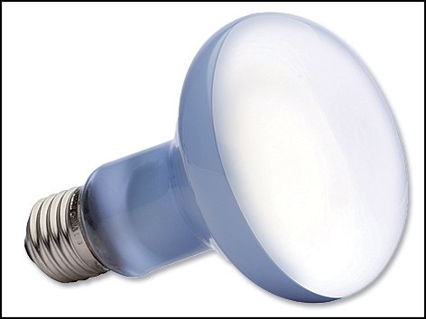 Žárovka Exo Terra Daylight Basking Spot 100W-KS