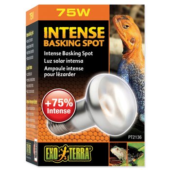 Žárovka Exo Terra Intense Basking Spot 75W-KS
