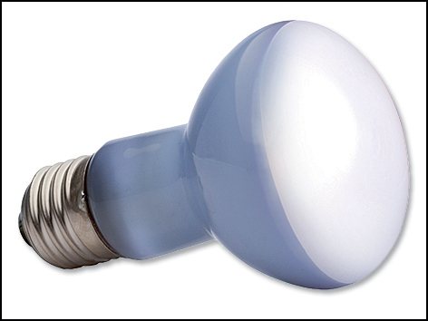 Žárovka Exo Terra Daylight Basking Spot 25W-KS