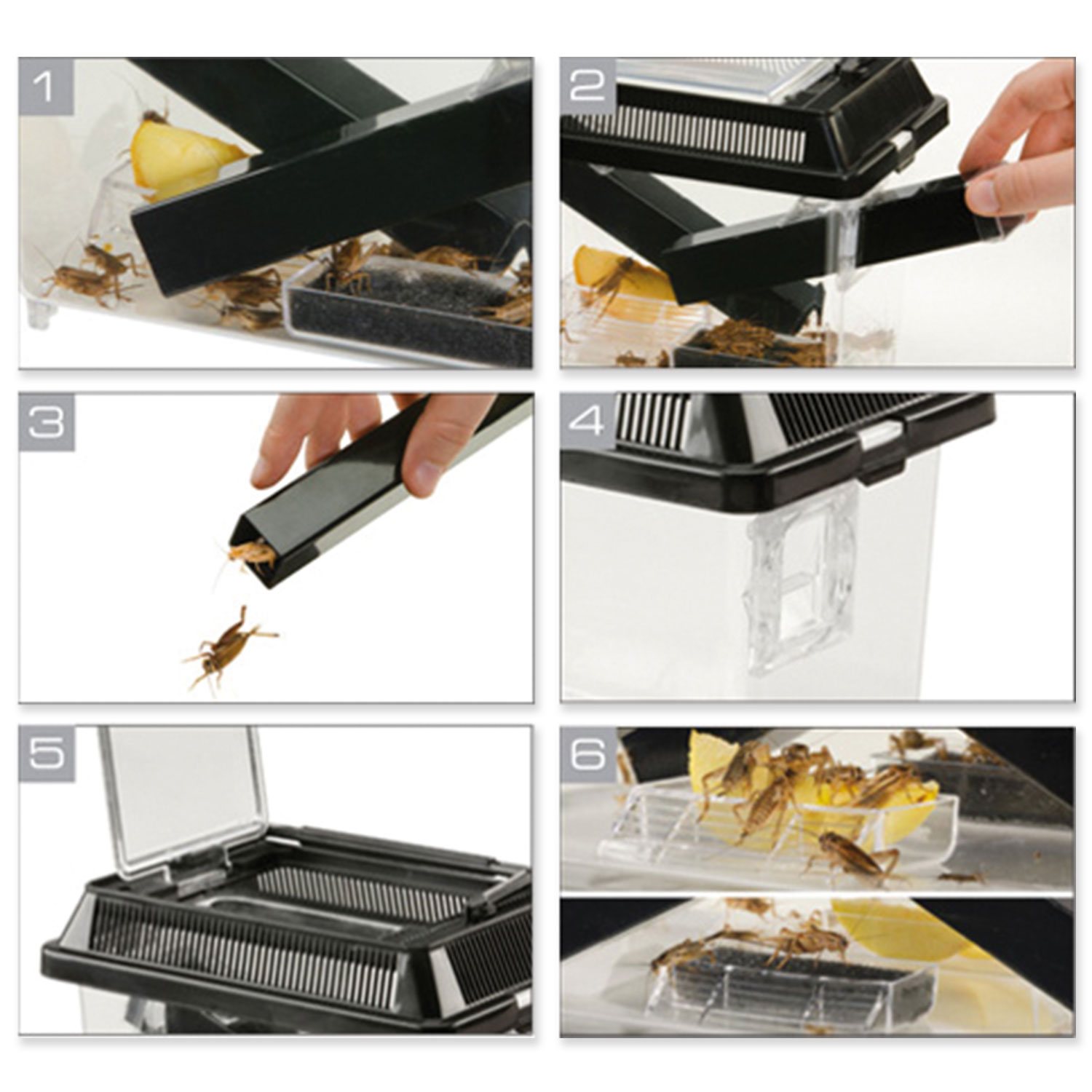 Box Exo Terra na cvrčky S-KS