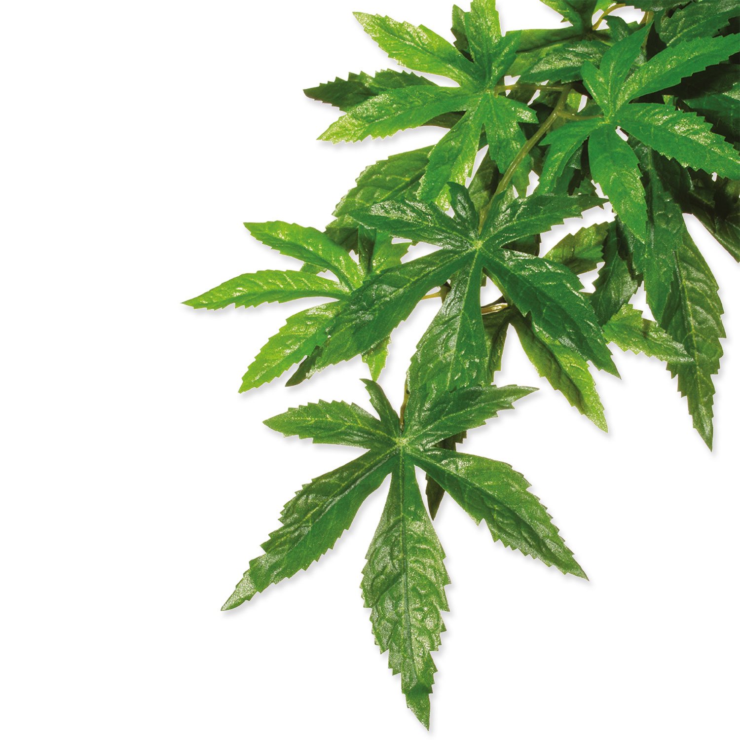 Dekorace Exo Terra Rostlina textil Abuliton střední-KS