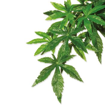 Dekorace Exo Terra Rostlina textil Abuliton střední-KS